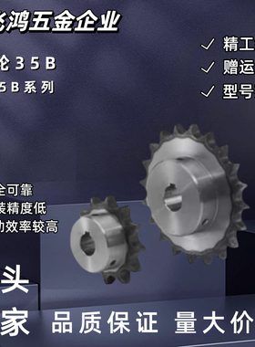 链轮SP35B36/38-N-20/22/24/25/28/30 SP35B36-S-12 SP35B38-N-28
