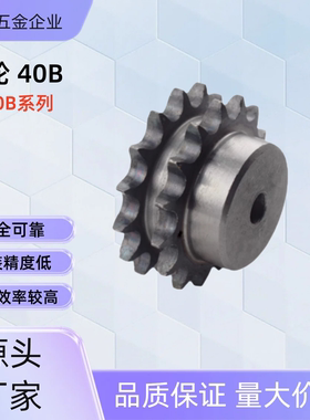 链轮SP40B17-N-14 /15/16/17/18/19/20/28/30/32/35 SP40B17-N-20