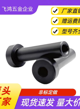 内螺纹带肩铰链销 SHCLBM HCLBM6  8 10 12 15 20 25-15 20 25 30