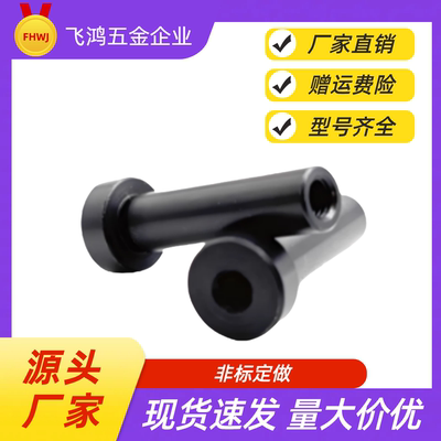 内螺纹带肩铰链销 SHCLBM HCLBM6  8 10 12 15 20 25-15 20 25 30