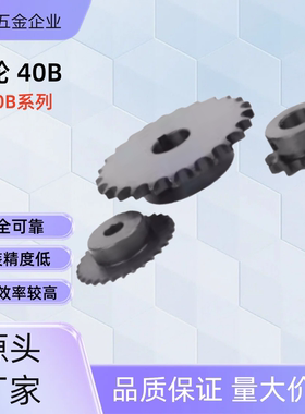 链轮 SP40B22-N-14 /15/16/17/18/19/20/22/24/25/28/30/32/35/40