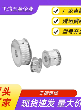 同步带轮 HTPA30S5M100-A-N8 /10/12/14/15/16/17/18/19/20/22/24