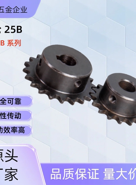 链轮SP25B22/23/24/25-N-12/15 SP25B25-N-12 SP25B24-N-12 SP25B