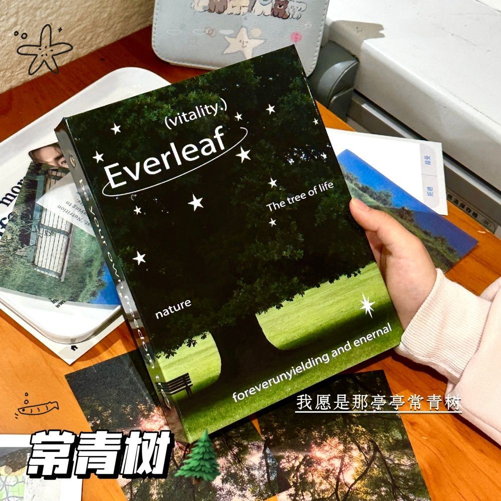 常青树卡册学生追星三寸小卡拍立得收纳册高颜值ins风四宫格相册