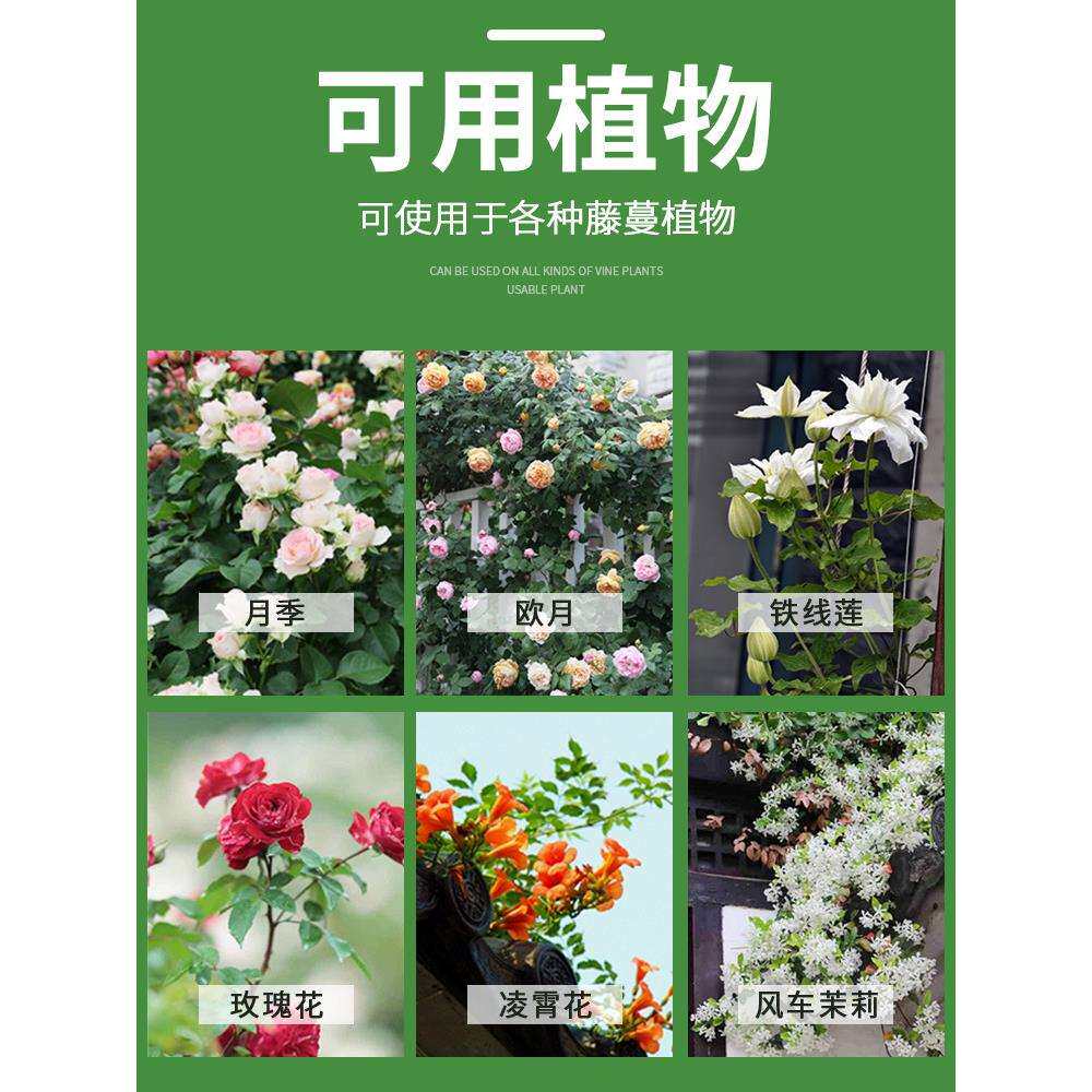 枝晓拱门花架蔷薇花爬藤架月季花爬架藤本紫藤风车茉莉庭院藤架