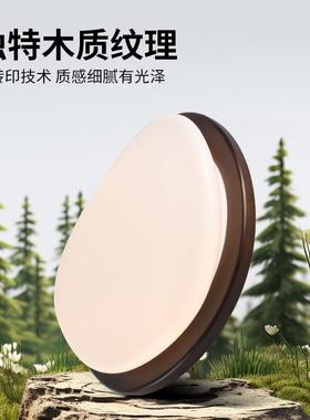 大园吸顶灯2观0中25年新款房间灯灯创意新中式70414氛围卧室灯山