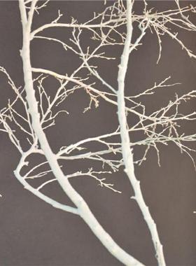 ，干树枝干枝枝干树白色枯枝仿真艺术假树造型树树装tb-62943饰仿