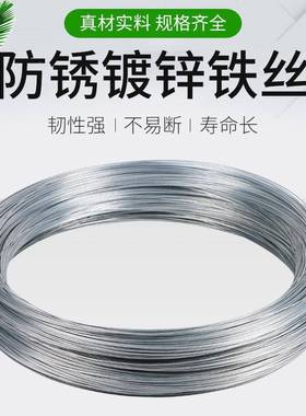 锌铁铁丝绑扎镀丝号搭大手棚CD279073园艺工工地建筑丝线