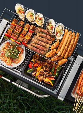 ASYGRILL体户烧烤炉便携式折叠收纳外E多功能烧烤EG-ODX-1架露营