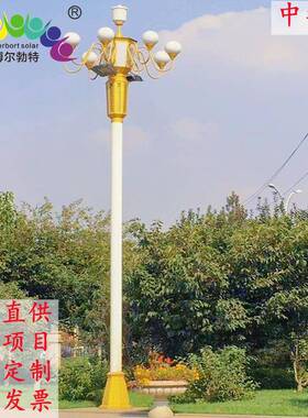 6米8米10米LED玉兰灯市政道路广场公园步行街异型中华灯