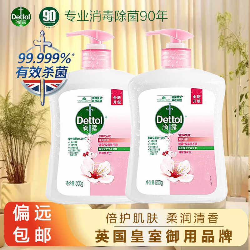 滴露滋润倍护洗手液杀菌消毒99.9%洗手液儿童母婴宝宝专用不伤手