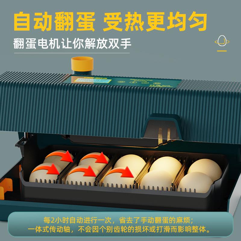 家用孵蛋器小型小房子造型自动翻蛋可孵芦丁鸡鹦鹉等带照蛋功能