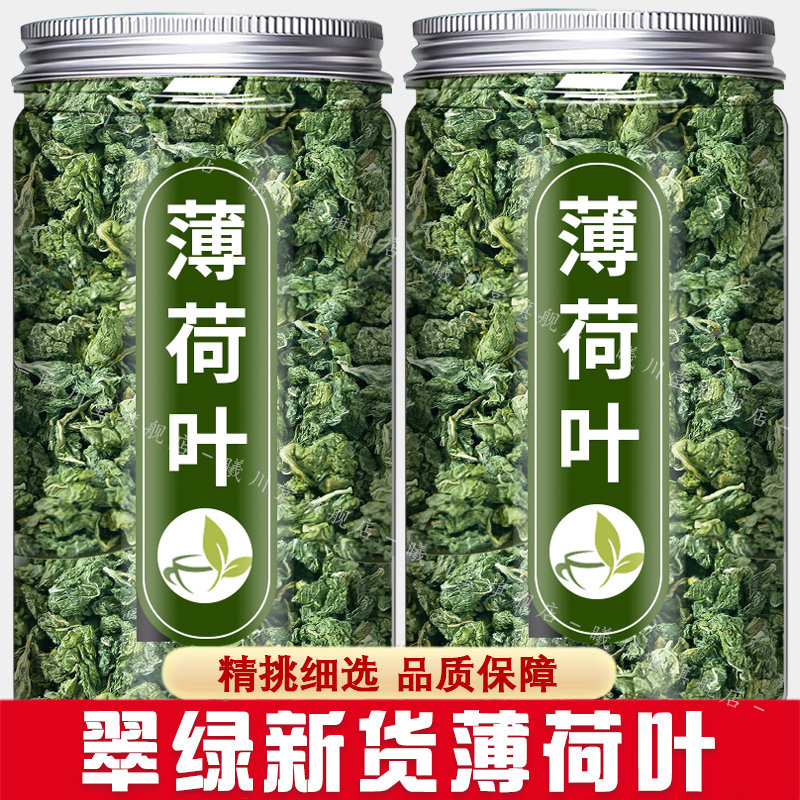 新鲜薄荷叶干薄荷茶叶散装非特级食用泡茶泡水喝的东西清凉茶花茶图片