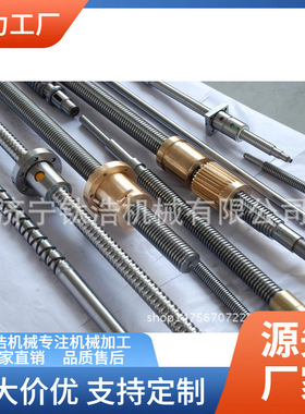 山东普利森丝杠LCT25*20-10229格厂家品质保障