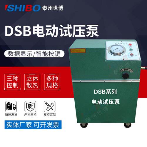 世博供应电动试压泵DSB-4.0电动试压泵压力4.0Mpa直销