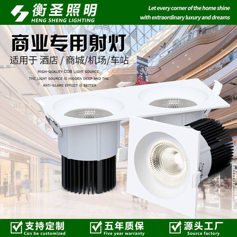 led射灯方形双头格栅灯嵌入式客厅天花灯高亮度酒店商用防眩筒灯