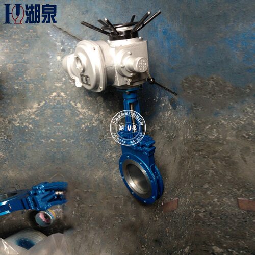 厂家直销电动排渣闸阀PZ973H-10PDN200排泥排渣调节型电动闸阀