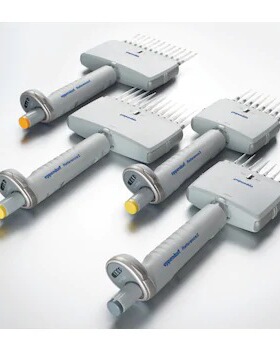 Eppendorf Reference 2 10-100ul 12道可调移液器4922000048