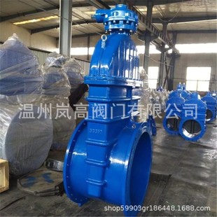 软密封闸阀 现货供应 球墨铸铁材质 16Q DN125 Z545X