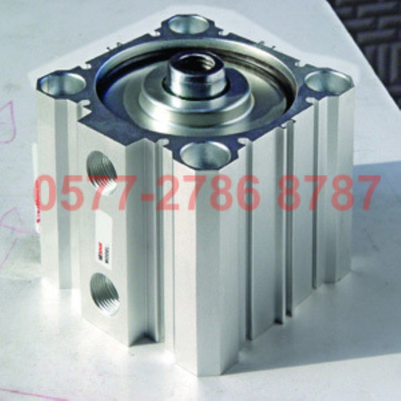 WSNS SDA25X5 10 15 20 25 30 35 40 45 50 60 70 80 90 100 气缸