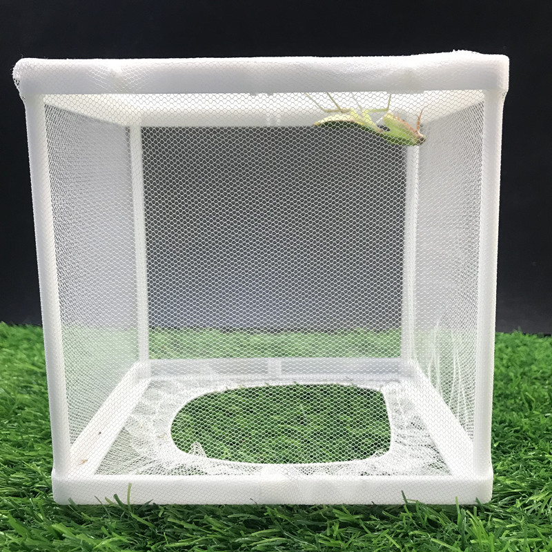 爬宠网箱昆虫饲养盒螳螂饲养盒昆虫植物饲养笼宠物爬虫网箱饲养箱
