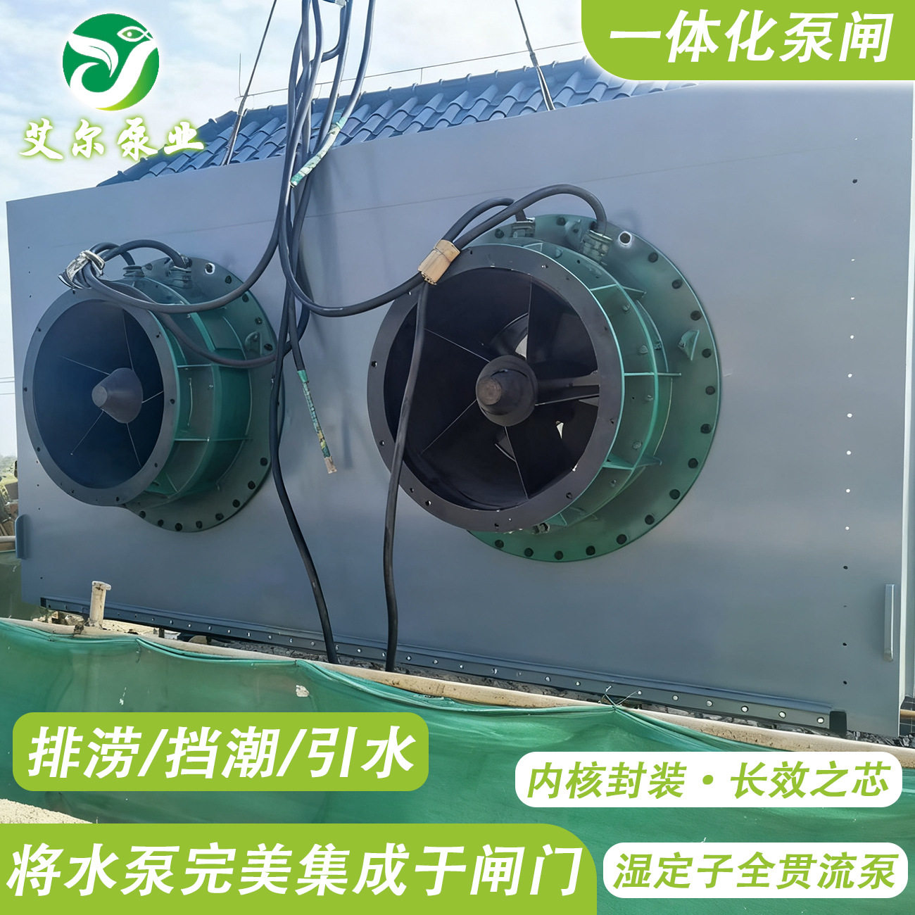 一体化泵闸河道引水排涝贯流泵