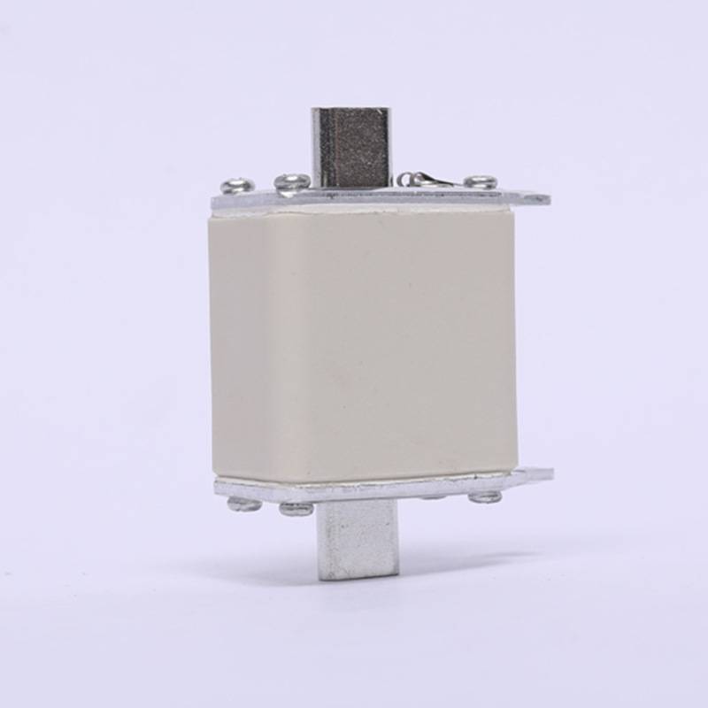 低压熔断器 保险丝3NE8024-1 3NE8022-1 3NE8021-1质量保障