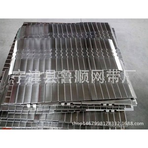 鲁顺网带厂家直销 平顶链板 板式链 单铰工业平顶链专业制造