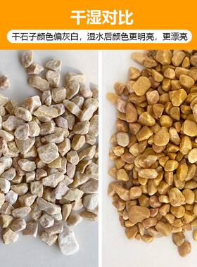 黄砾石枯山水造景石胶粘石黄色透水石园林透水地坪骨料黄碎石卵石