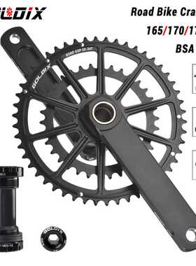 GOLDIX公路自行车GXP曲柄牙盘20/22速50-34T/53-39T一体双盘骑行