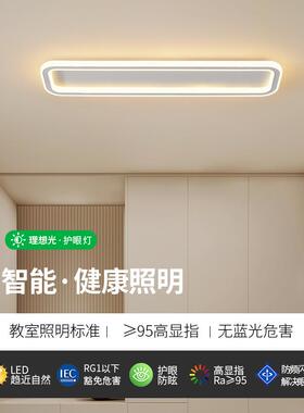 【2432选】走廊e灯超薄过道灯长条ld灯灯现代简约玄关阳台严吸顶1