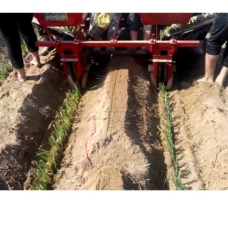 拖拉机大后置式移栽机大葱种机农用栽葱XXI植机葱葱苗移栽器