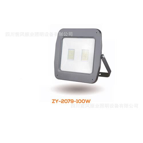 户外景灯场灯广厂灯房灯ZY-2079投光灯泛光ZY-20观79