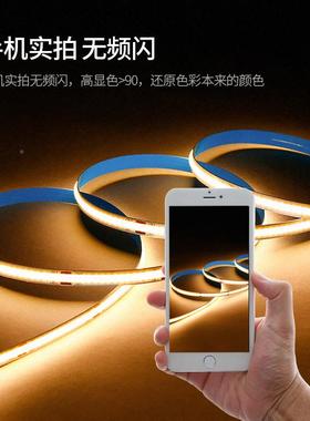 TRI装Acob-loutC22l0v灯带ob楼梯饰户外阶梯超亮ed防水霓虹线形软