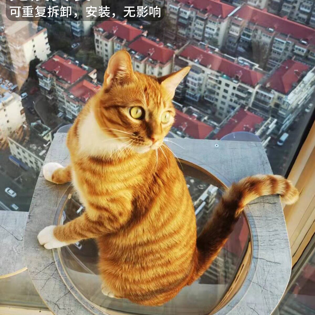天空猫墙吸盘猫爬架玻璃透明猫窝吊床实木板麻绳跳台免打孔