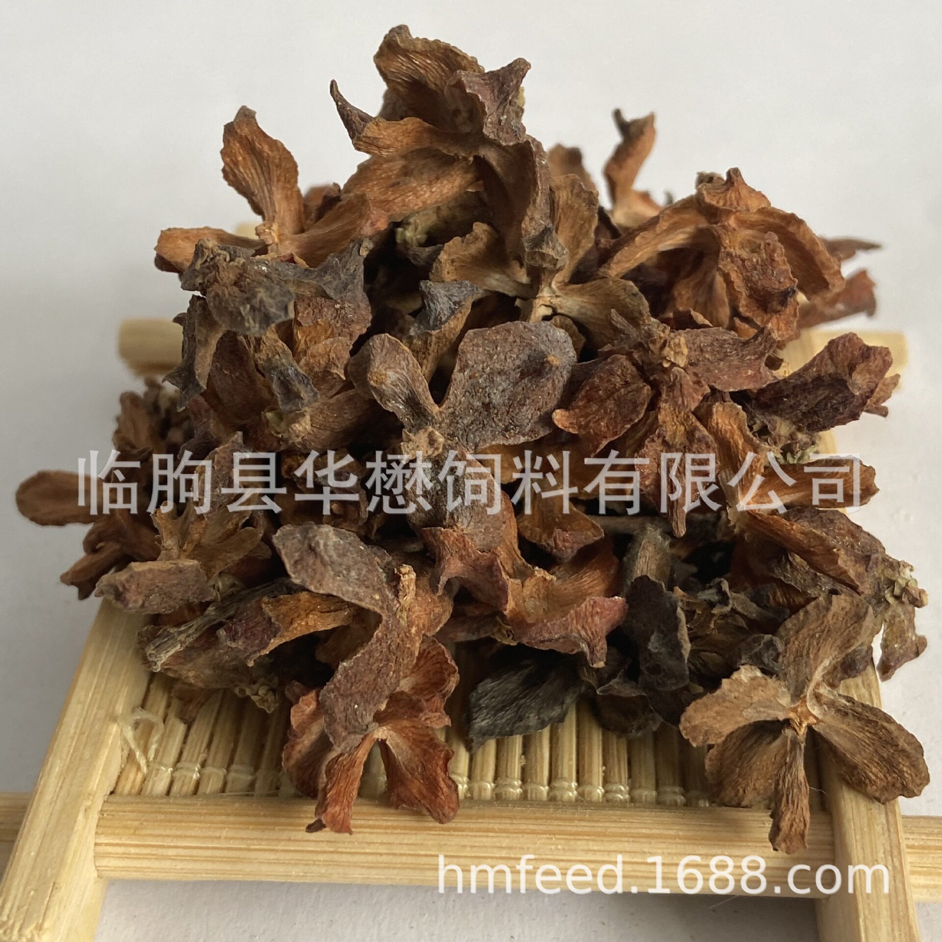 厂家直销侧柏壳柏子壳 枕头枕芯汽车坐垫填充物料 批发零售