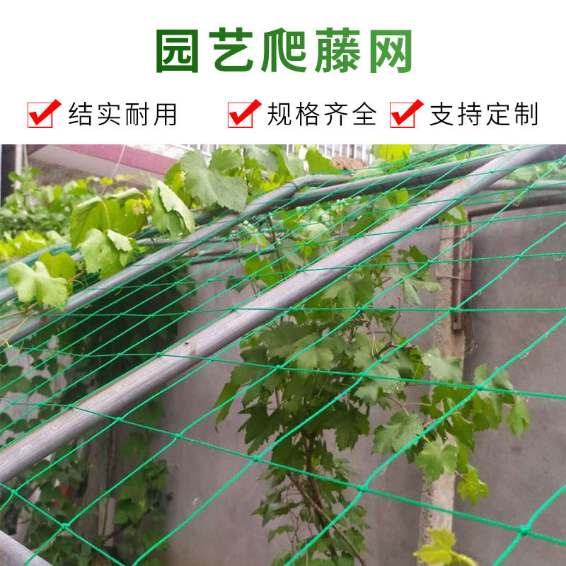 园艺爬藤网葡萄黄瓜植物爬藤搭架网加强版尼龙网牵牛花攀爬网家用