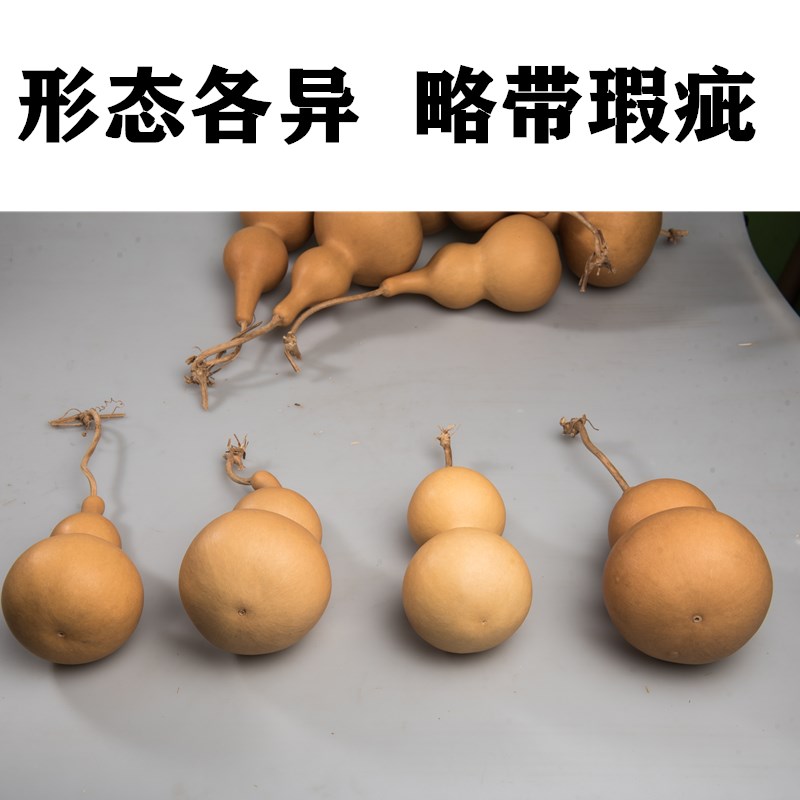 天然真小开口葫芦m挂件吊顶装饰烙画练手工艺术品木胡葫芦摆件