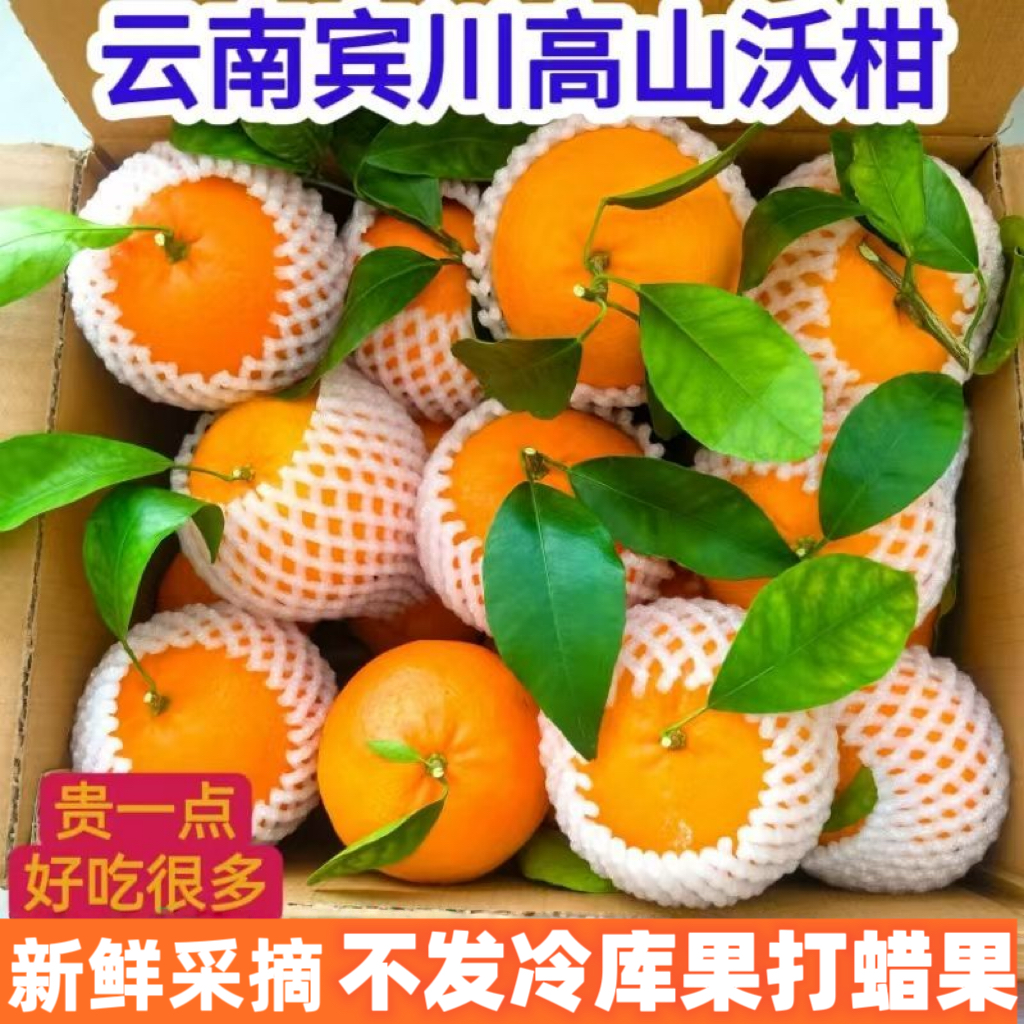 【当季沃柑】云南宾川高山沃柑应季水果纯甜爆汁整箱橘子柑橘桔子
