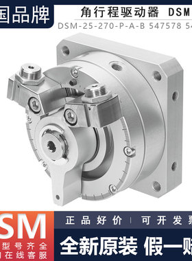 FESTO费斯托气缸DSM-12-16-25-32-40-270-P-A-B 547578 547570