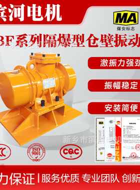XBF/LZF-10防闭塞震动电机滨河厂家质优价廉仓壁振动器