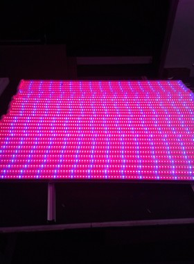 5红1蓝植物生长灯 红660nm蓝460nm led植物生长灯 led植物组培灯