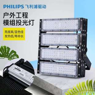 led投光燈模組路燈庭院燈戶外防水隧道投光燈塔吊燈球場燈高桿燈