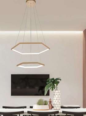 现代简约吊灯 黑色餐厅灯CE认证40+60CM吊灯跨境卧室灯源头厂家