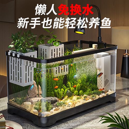 鱼缸客厅小型2025新款生态造景过滤制氧一体机R家用自循环观赏鱼