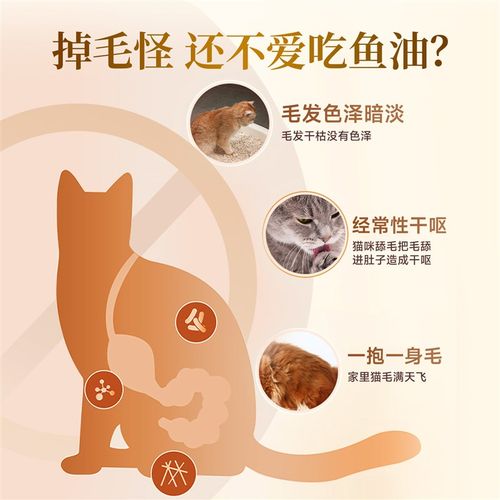 宽福肉松拌粮猫咪零食蛋黄磷虾鸡肉D冻干主粮伴侣挑食营养成幼猫