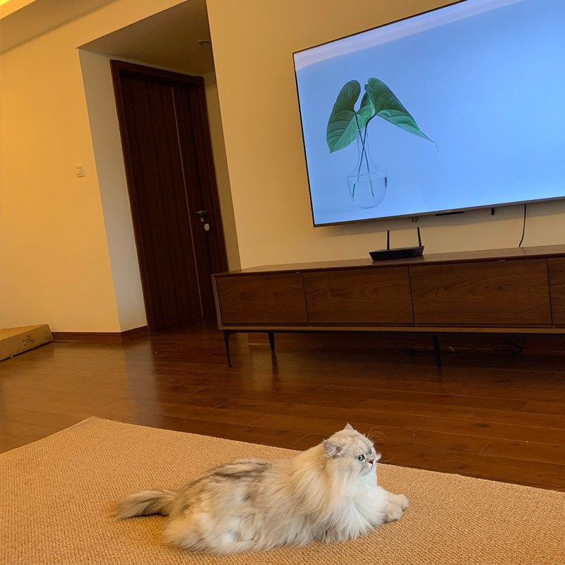 猫抓板地垫猫咪垫子宠物睡觉玩具磨爪防猫N抓客厅卧室仿剑麻地毯