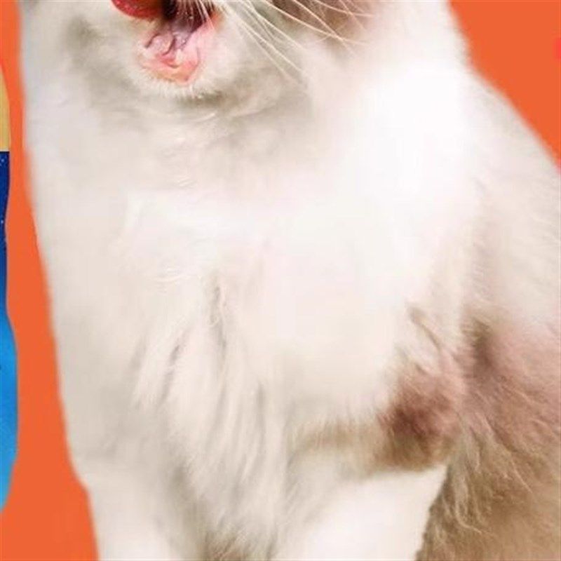 宠物零食c水煮鸡胸肉湿粮猫咪零食狗狗鸡肉零食营养健康蒸煮鸡胸