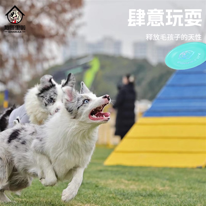 飞盘狗狗飞盘f耐咬训犬软飞碟边境牧羊犬金毛拉布拉多大中小型宠