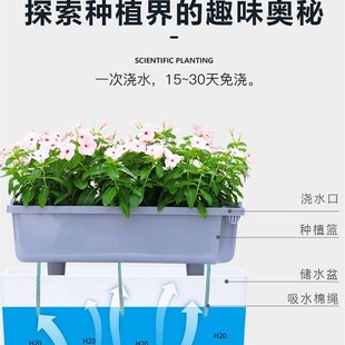 家庭阳台种菜箱盆自吸水种花专用盆蔬菜种植家懒用花盆人种菜神器